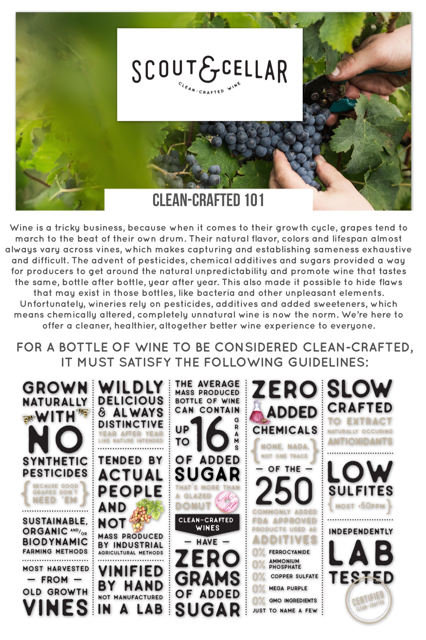 Scout & Cellar Clean Crafted Wine Military Town Advisor